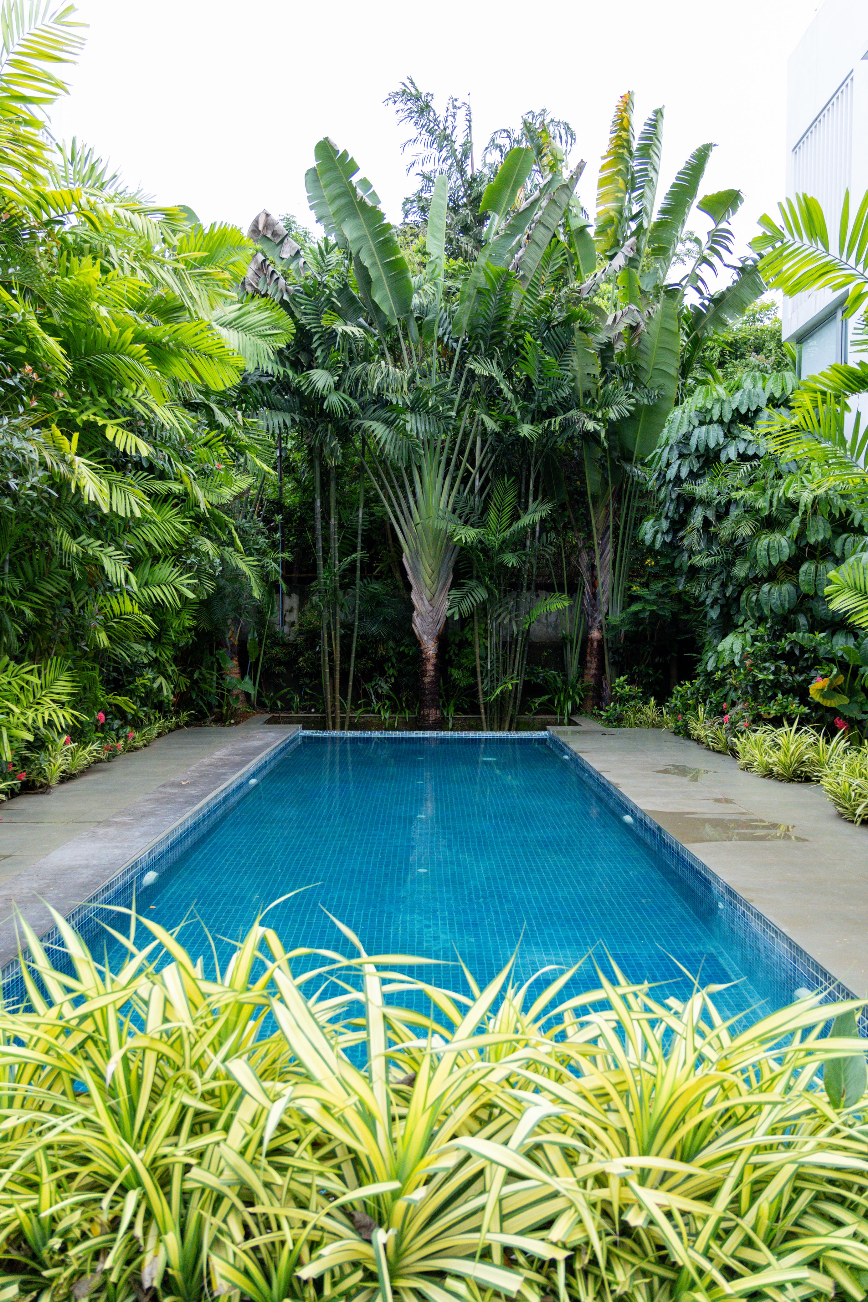 Private Swimming Pool at El Tesoro