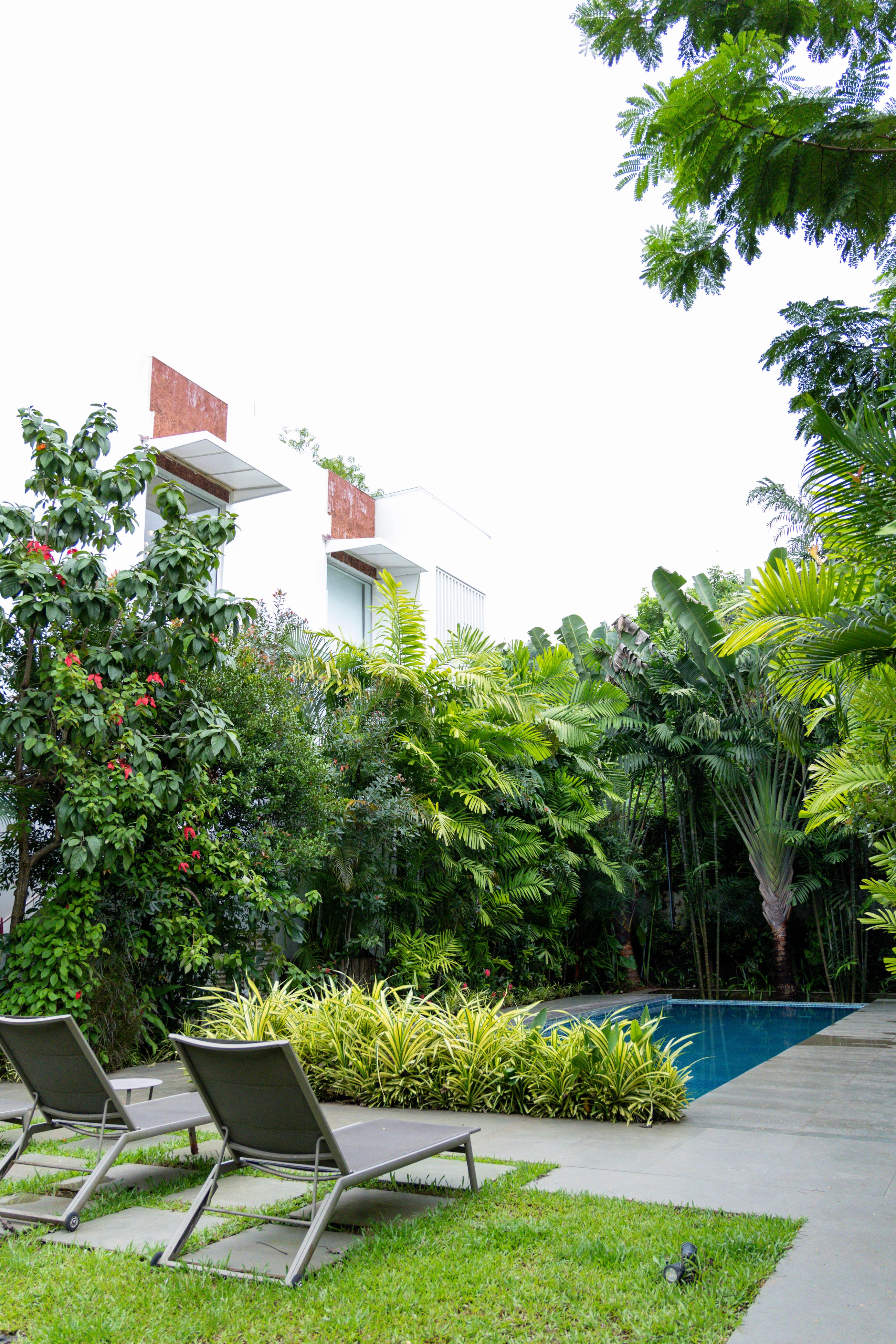 Poolside View